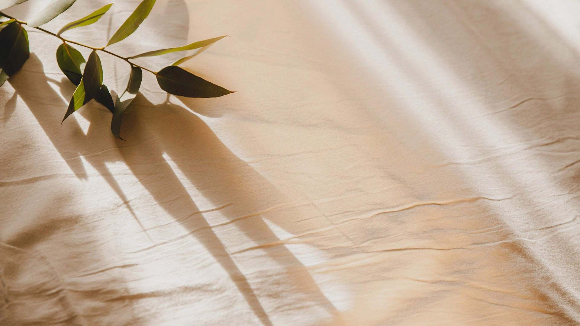 Why Choose U Aesthetics